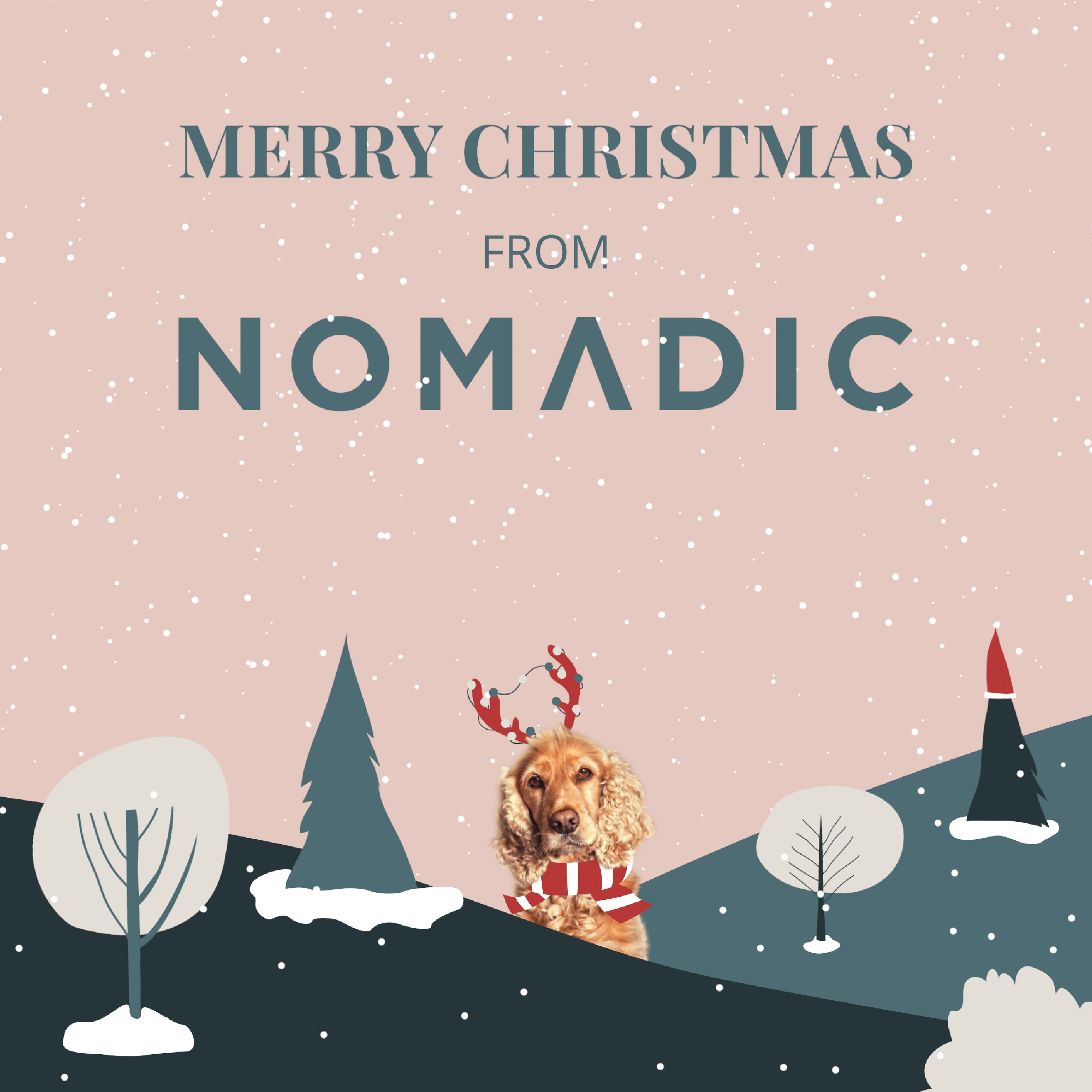 Nomadic UK Charity Christmas Ad 2023 Poster with cocker spaniel with antlers